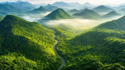 Winding road through lush green mountains veiled in mist