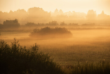 Piękny pomarańczowy świt z mgłami nad łąką, letni krajobraz, Polska, Śląsk. © Elżbieta Kaps