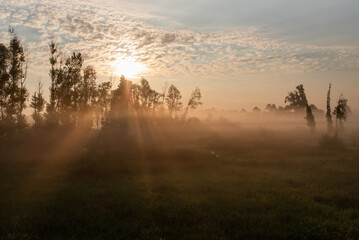 Piękny pomarańczowy świt z mgłami nad łąką, letni krajobraz, Polska, Śląsk. © Elżbieta Kaps