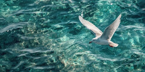Obraz premium Watercolor Sea Angel Illustration