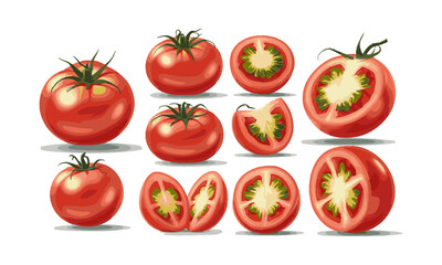 Scalable vector illustration set of red tomatoes in various forms, fresh vegetables, organic vegetables, easily editable.