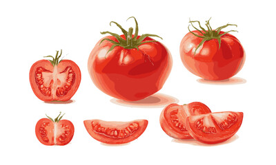 Scalable vector illustration set of red tomatoes in various forms, fresh vegetables, organic vegetables, easily editable.