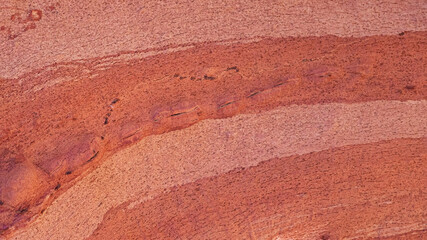 Natural texture, cork tree background