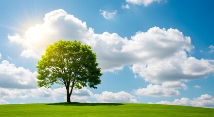 Obraz premium Lone Tree on a Green Hill Under a Sunny Sky with Clouds