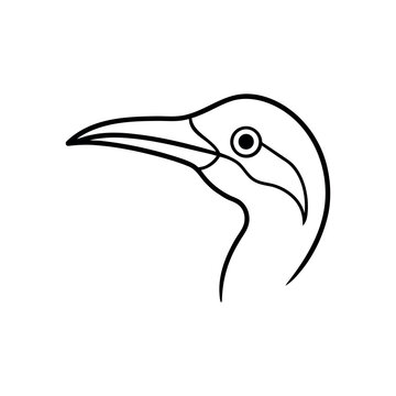 A jacamar Bird's Head Line art vector illustration.