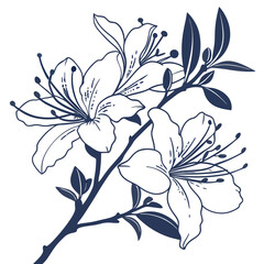 vector illustration of azalea hybrid