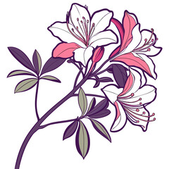 azalea hybrid with leaves