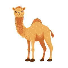 Cute Camel Clipart