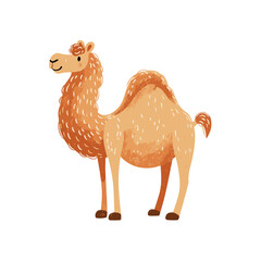 Cute Camel Clipart