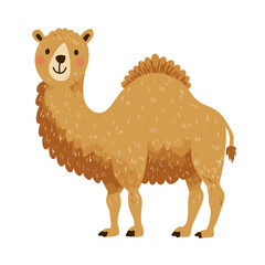 Cute Camel Clipart