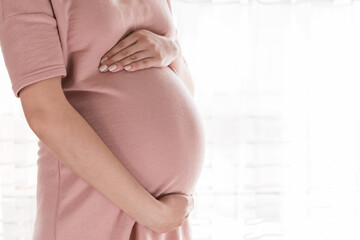 Pretty young pregnant woman standing by the window in home