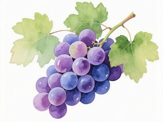 Watercolor Illustration of Purple Grapes with Green Leaves