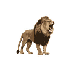 Standing lion isolated on a white background. Lion walking profile, body side view. Vector stock