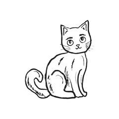 Witch hat with pumpkin and herbs in black brush stroke texture isolated on white. Hand drawn vector sketch illustration in vintage charcoal ink. Halloween mystery equipment, invitation