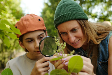 Caucasian woman and Caucasian teenager examining plant leaves with magnifying glass outdoors, both...