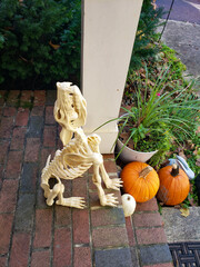 Skeleton of a dog and pumpkins in front of the door - Autumn Holiday Halloween in America.