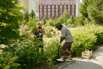 Middle aged Black man and middle aged Caucasian man gardening together in urban park, digging soil...