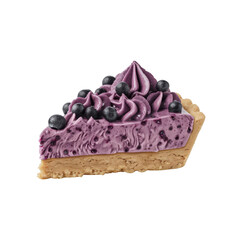 Delicious Slice of Blueberry Tart with Swirled Cream Topping