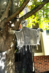 Skeletons on a tree in front of the house. Home decoration for Halloween.