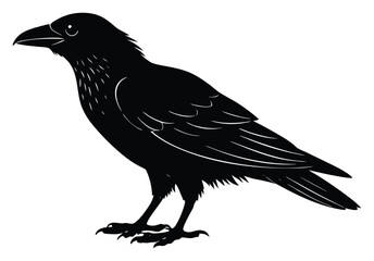 Fototapeta premium Raven Silhouette Isolated on White Background Mysterious Dark Bird Symbolic Animal Design Element Vector Illustration Gothic Inspired Imagery Black Raven