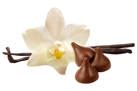 favo de baunilha, flor de baunilha e gotas de chocolate ao leite isolado em fundo transparente
