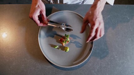 Minimalist gourmet dish being plated from top view