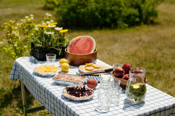 Outdoor picnic table displaying fresh watermelon, peaches, lemon slices, glass pitcher with infused water, fruit pies, salads, clear glasses, flowers in basket, grassy field background