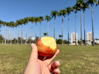 Criança a comer uma maçã ao ar livre num dia ensolarado. Imagem vibrante e natural, perfeita para temas relacionados com alimentação saudável, infância, natureza, bem-estar e estilo de vida. Destaque 