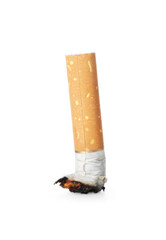 One burnt cigarette butt isolated on white