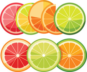 fruit slices vector