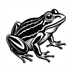 Naklejka premium How Frogs Work