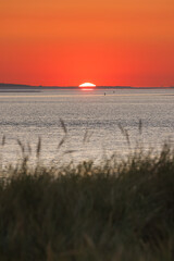 Dunes of Texel, Netherlands, sunrise, peace, warm colors North Sea, Holland, the sun is rising