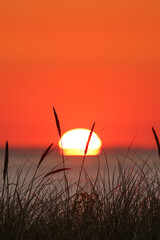 Dunes of Texel, Netherlands, sunrise, peace, warm colors North Sea, Holland, two peaces in portraitformat, quiet