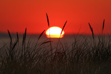 Dunes of Texel, Netherlands, sunrise, peace, warm colors North Sea, Holland, two pieces
