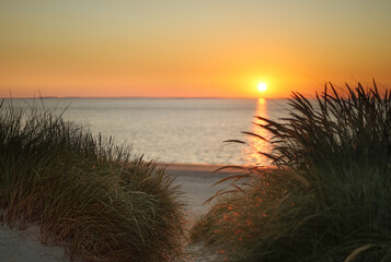 Dunes of Texel, Netherlands, sunrise, peace, warm colors North Sea, Holland, horizon