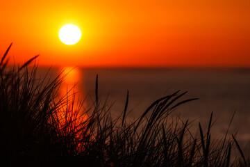 Dunes of Texel, Netherlands, sunrise, peace, warm colors North Sea, Holland, holiday