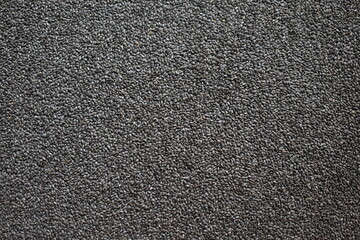 Raw whole dried Basil seeds