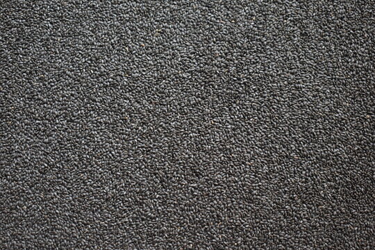 Raw whole dried Basil seeds