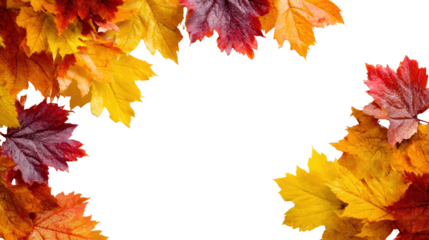 Colorful autumn leaves arranged on a black background, perfect for seasonal designs and nature themes.