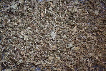 Raw whole dried Bacopa monnieri herb