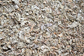 Raw whole dried Bacopa monnieri herb