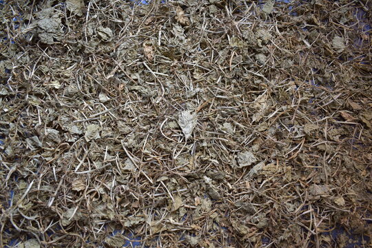 Raw whole dried Bacopa monnieri herb