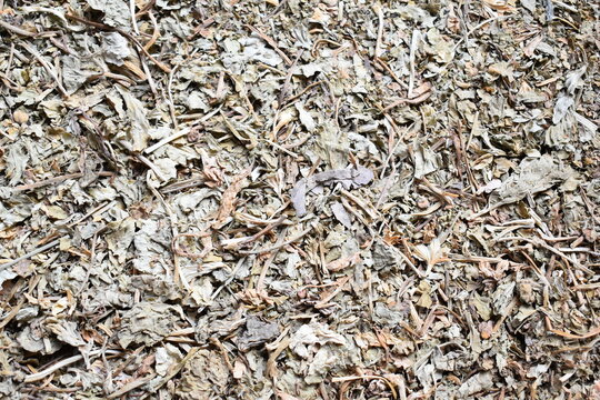 Raw whole dried Bacopa monnieri herb