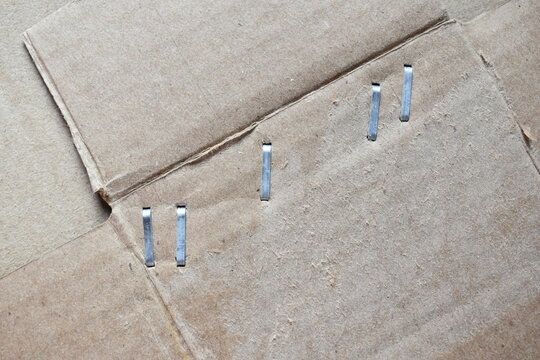 Metal staple on brown cardboard