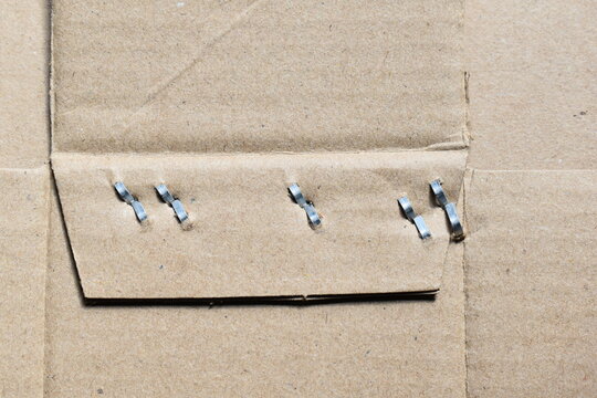 Metal staple on brown cardboard