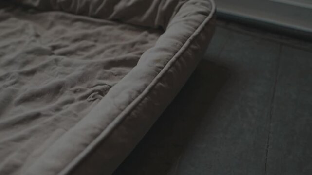 Empty dog bed, beige color, indoor, daytime setting, comfortable, soft material, inviting for pets for cozy relaxation and sleeping space.