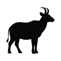 Obraz premium Silhouette of a standing antelope with curved horns on a white background