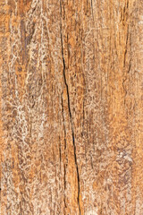 Old wooden texture