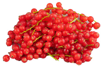 Vibrant red currants cluster. Isolated object