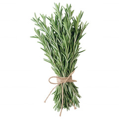 Fototapeta premium Fresh Rosemary Bundle: A vibrant bundle of fresh rosemary, tied with twine, sits on a clean surface. The aromatic herb is ready to be used in culinary dishes.